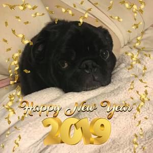 Meet your Posher, Patti